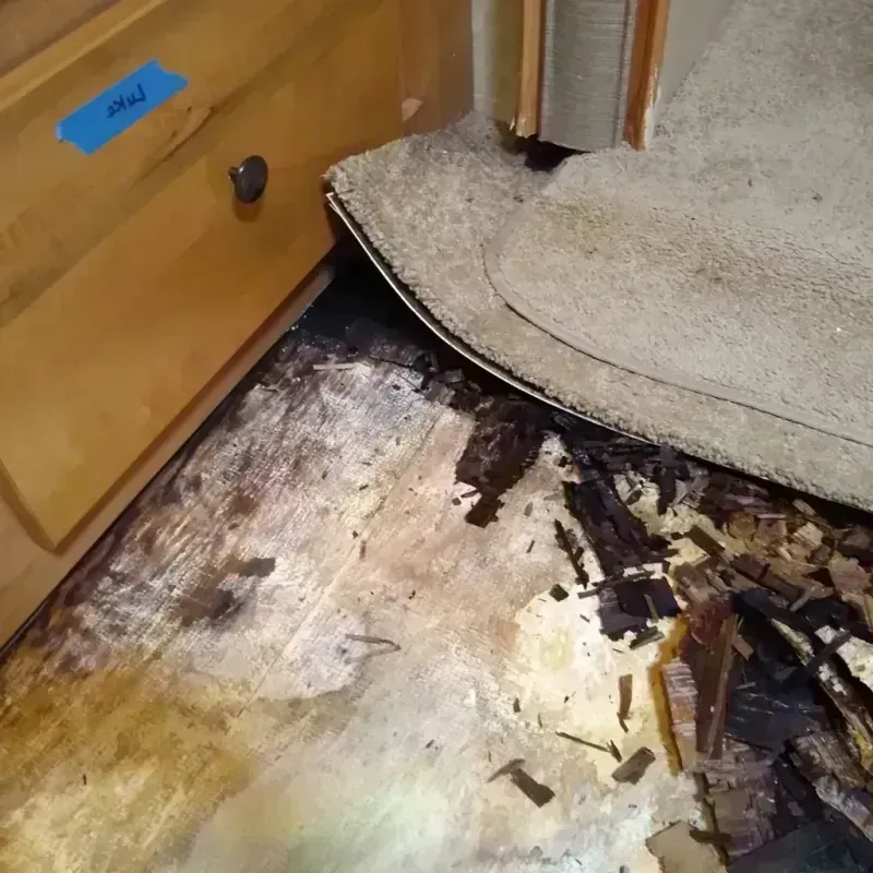 Best Wood Floor Water Damage Service in Blair, NE